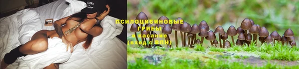 MDMA Premium VHQ Михайловка