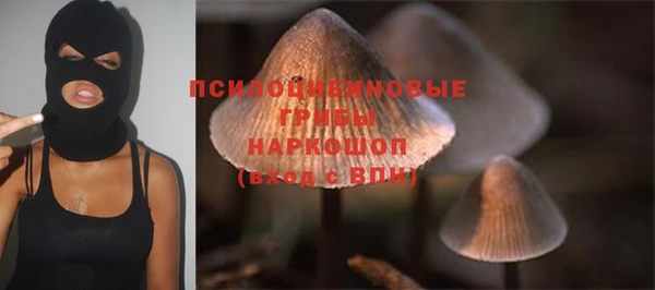 MDMA Premium VHQ Михайловка